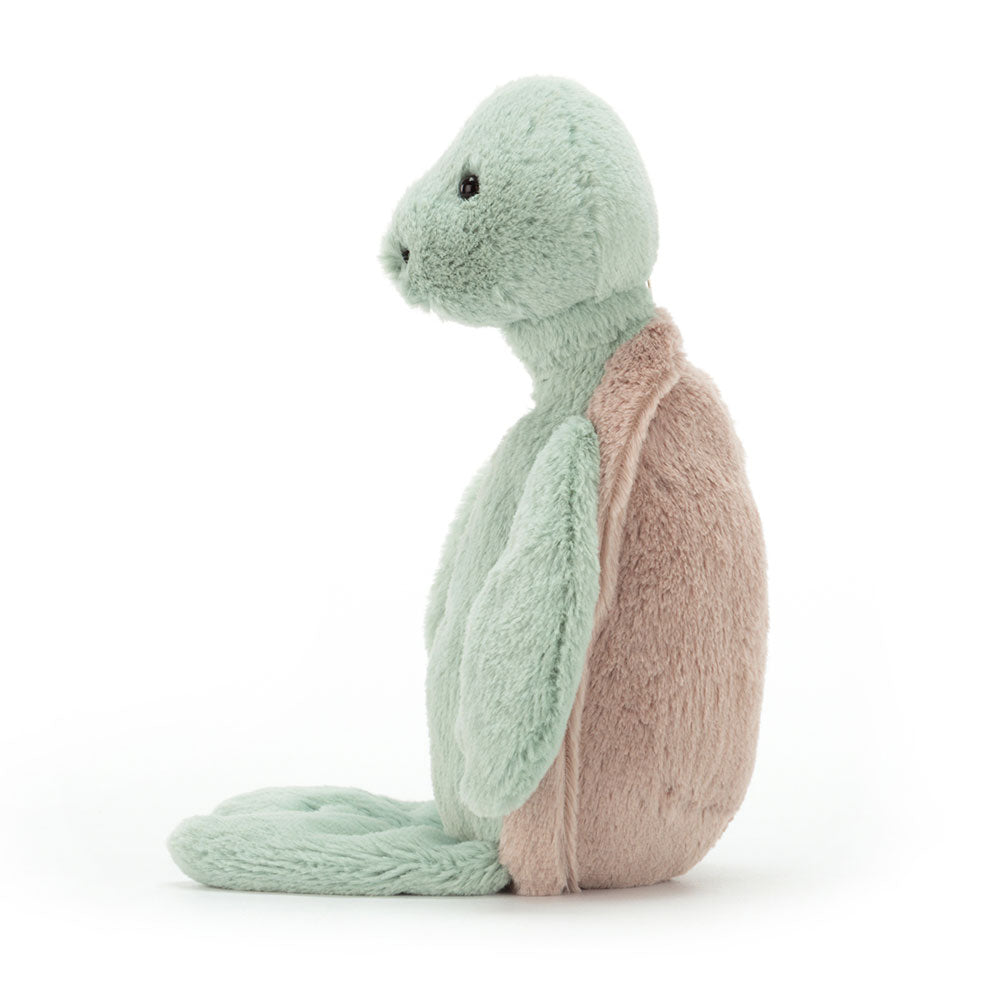 Bashful Turtle Little, View 2