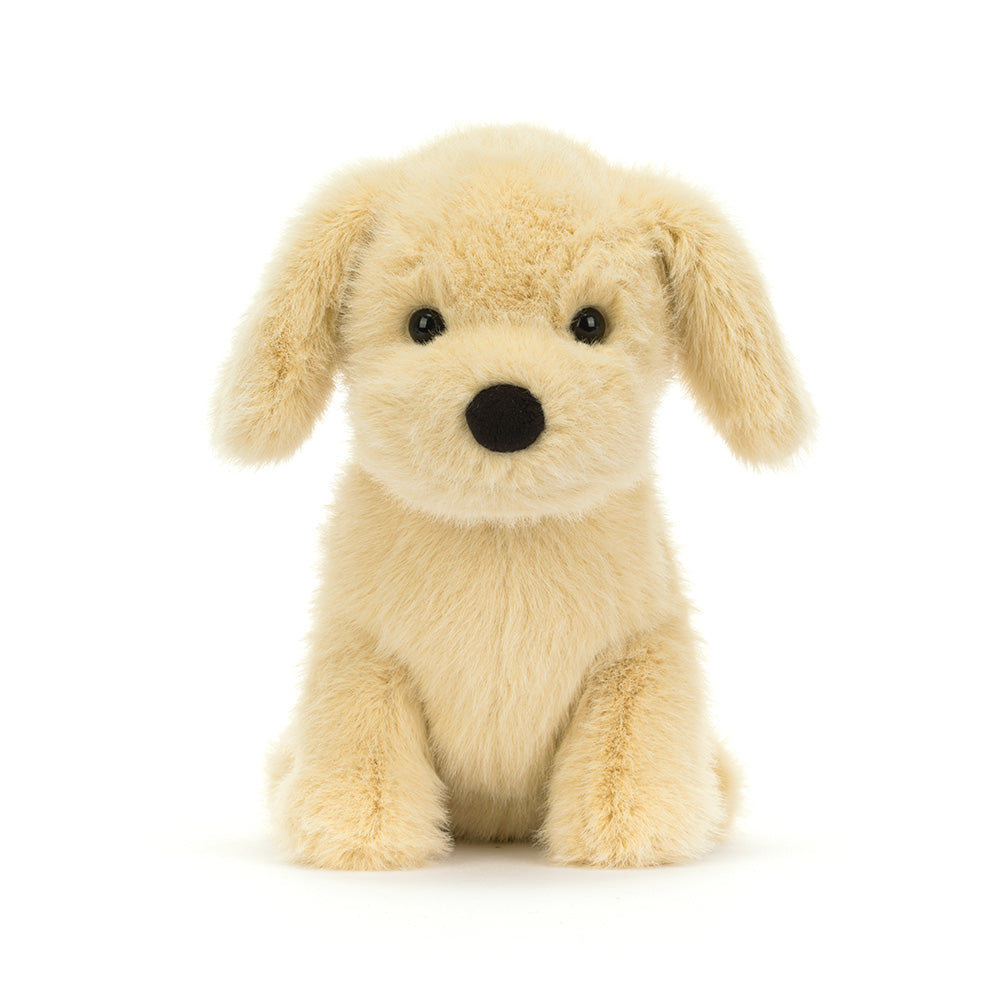 Golden Puppy, View 4