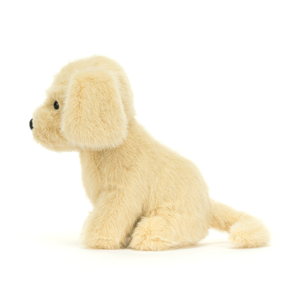 Golden Puppy, View 2