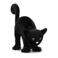 Spookipaws Cat, Main View